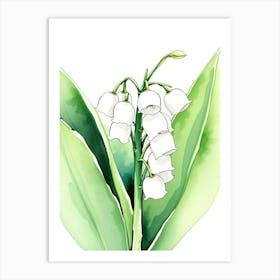 Lily Of The Valley Watercolor 1 Art Print