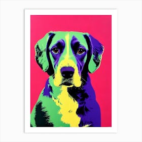 Spaniel (Field) Andy Warhol Style Dog Art Print