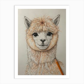 Alpaca 2 Art Print