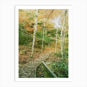 Autumn Trail Art Print