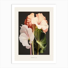 Flower Illustration Amaryllis 2 Poster Art Print