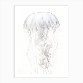 Sea Nettle Jellyfish Drawing 3 Art Print