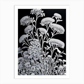 Queen Anne's Lace Wildflower Linocut 1 Art Print