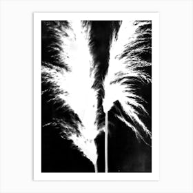 Black white pampas grass Art Print