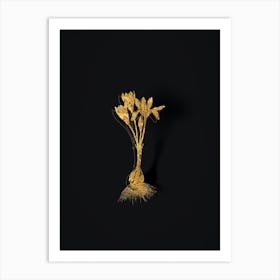 Vintage Autumn Crocus Botanical in Gold on Black n.0027 Art Print