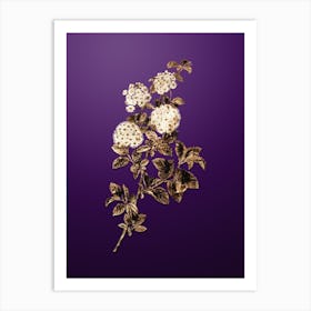 Gold Botanical Germander Meadowsweet on Royal Purple Art Print