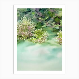 Acropora Suharsonoi Ii Storybook Watercolour Art Print