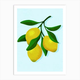 Lemons Art Print