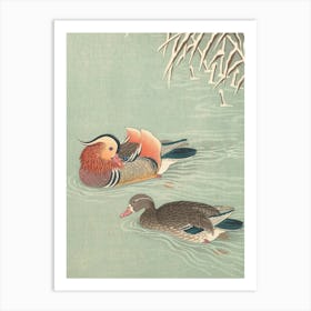 Japanese Ukiyo-E Mandarin Ducks Art Print