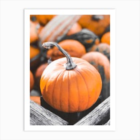 Pumpkins Art Print