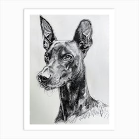 Pinscher Dog Line Sketch 2 Art Print
