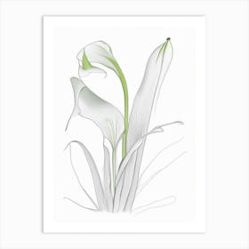 Zantedeschia Floral Quentin Blake Inspired Illustration 3 Flower Art Print