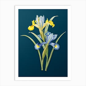 Vintage Spanish Iris Botanical Art on Teal Blue n.0722 Art Print