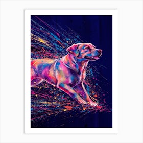 Labrador Retriever Art Print