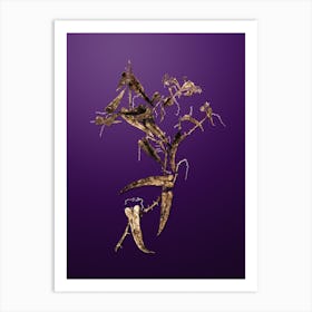 Gold Botanical Rough Bindweed on Royal Purple n.2726 Art Print