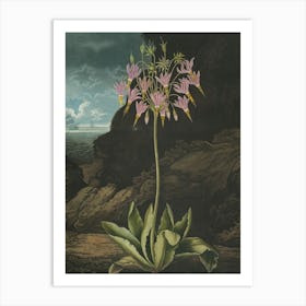 Lilies Of The Valley 2 Art Print