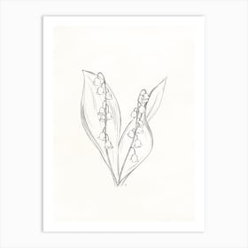 Lily Of The Valley In Pencil Art Print