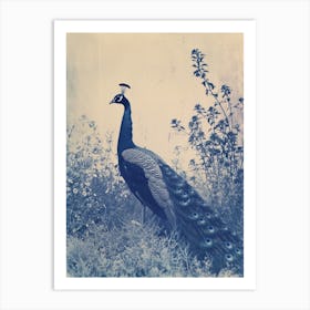Vintage Photo Inspired Peacock In The Wild 2 Art Print