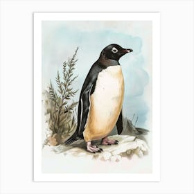 Adlie Penguin Carcass Island Vintage Botanical Painting 1 Art Print