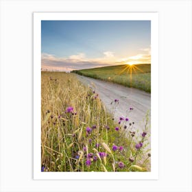 Sunset In A Field Art Print