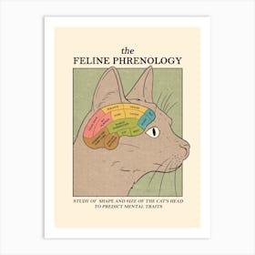 Feline Phrenology Art Print