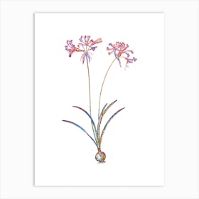 Stained Glass Nerine Mosaic Botanical Illustration on White n.0090 Art Print