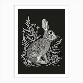 New Zealand Rabbit Minimalist Illustration 2 Art Print