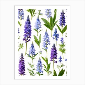 Nature Pattern Isolate White Arrangement Purple Flat Floral Blue Natural Herbal Medicine (12) Art Print