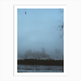 Foggy Morning Art Print