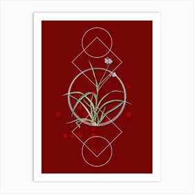 Vintage Spiderwort Botanical with Geometric Line Motif and Dot Pattern n.0378 Art Print
