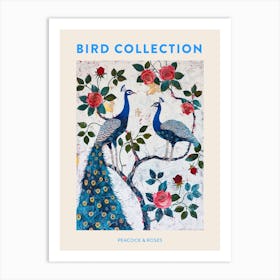 Peacock With The Roses Painting 4 Poster Art Print