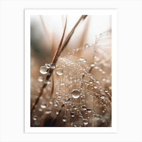 Rain Drops Art Print