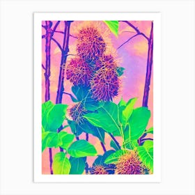 Rambutan Risograph Retro Poster Fruit Art Print