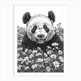 Giant Panda Cub Ink Illustration A Field Of Flowers Ink Illustration 2 Art Print