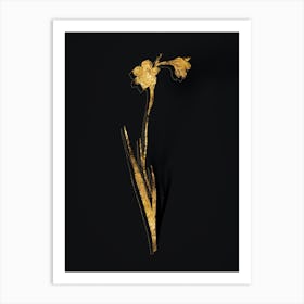 Vintage Sword Lily Botanical in Gold on Black n.0455 Art Print