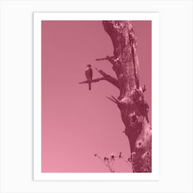 Dusty Pink Falcon Art Print