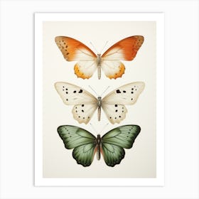 Three Butterflies Art Print