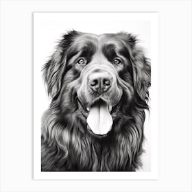 Newfoundland Dog, Line Drawing 1 Art Print