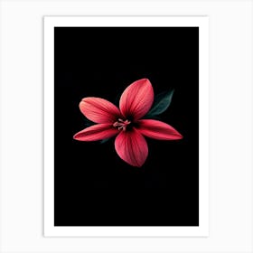 Hibiscus Flower Poster