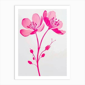 Hot Pink Kangaroo Paw Art Print