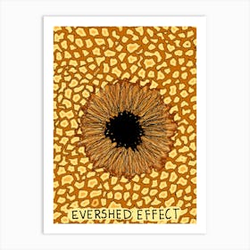 Evershed Effect Sun Spot Science lover Astrophysics Art Print