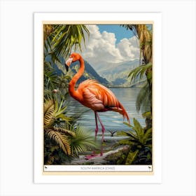 Greater Flamingo South America Chile Tropical Illustration 3 Poster Art Print