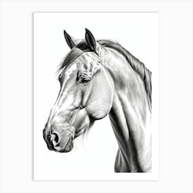 Highly Detailed Pencil Sketch Portrait of Horse with Soulful Eyes 2 Art Print