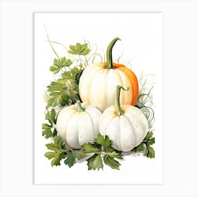 White Pumpkin Watercolour Illustration 1 Art Print