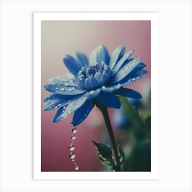 Blue Flower With Water Droplets Art Print