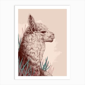 Alpaca Art Print