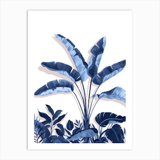 Traveller's Palm Art Print