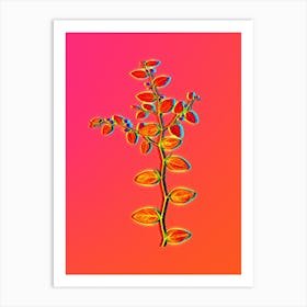 Neon Christ's Thorn Botanical in Hot Pink and Electric Blue n.0513 Art Print