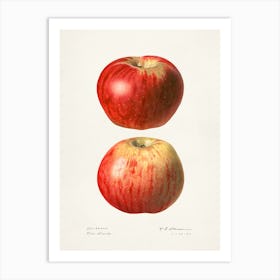 Apples And Pears Art Print