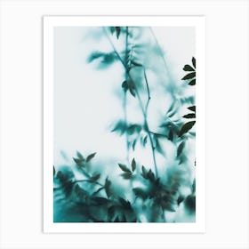 Blue Leaves On Frosted Glass Art Print